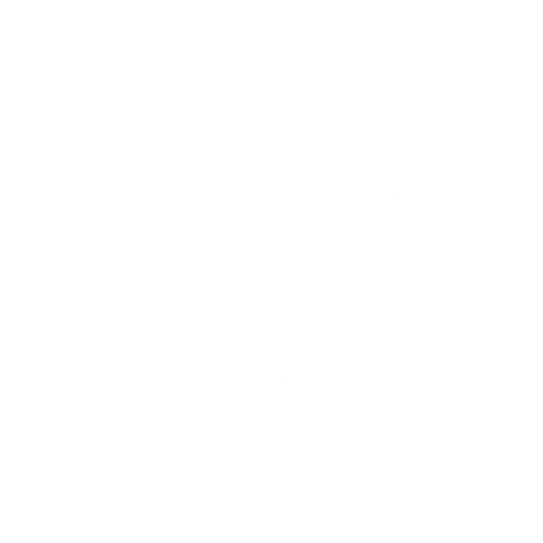 Power Man